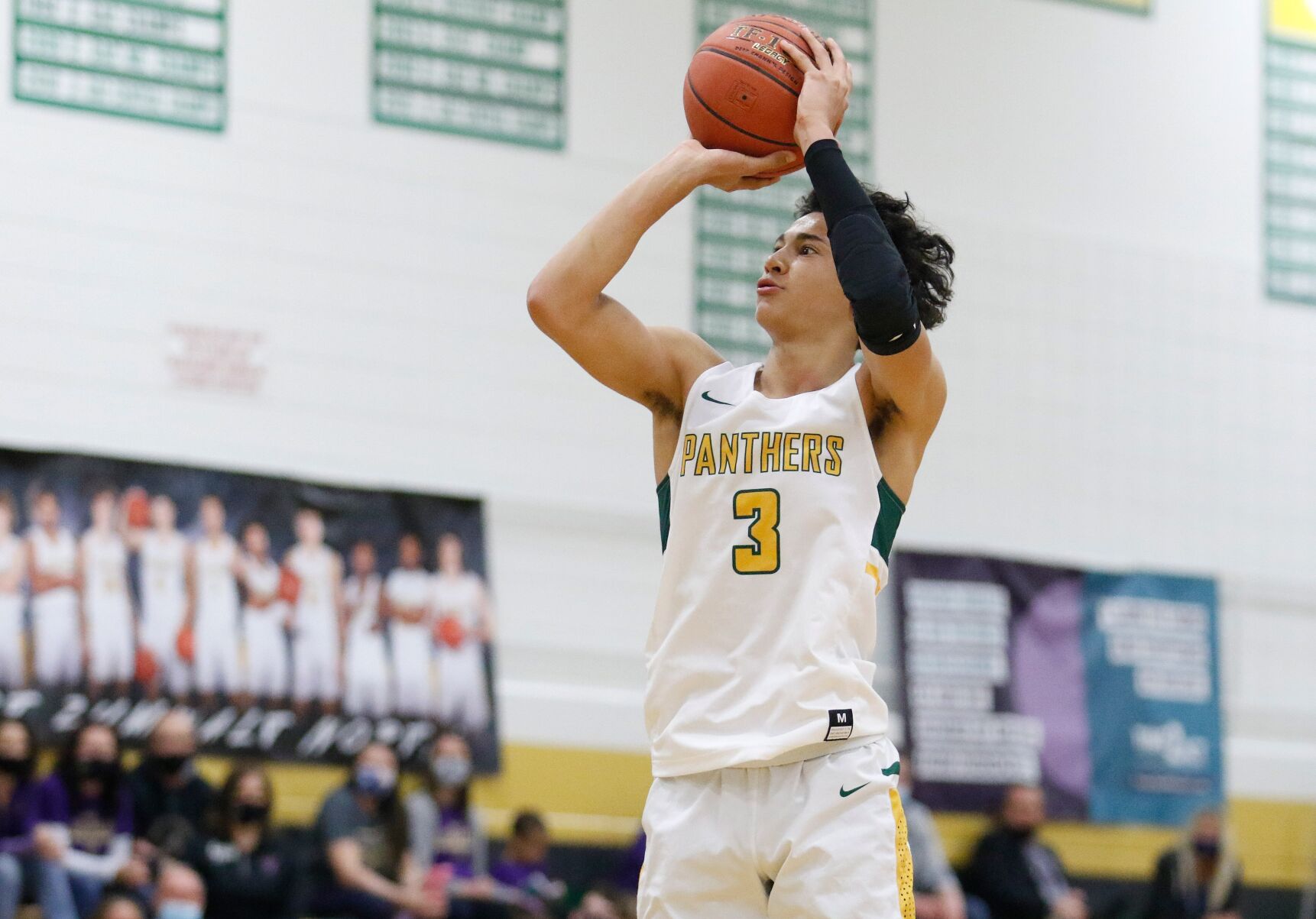 Class 6 Quarterfinal: Troy at Fort Zumwalt North